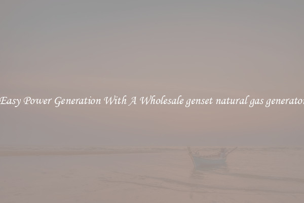 Easy Power Generation With A Wholesale genset natural gas generator