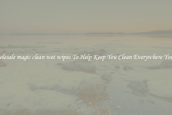 Wholesale magic clean wet wipes To Help Keep You Clean Everywhere You Go