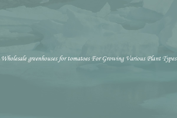 Wholesale greenhouses for tomatoes For Growing Various Plant Types