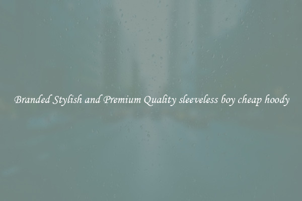 Branded Stylish and Premium Quality sleeveless boy cheap hoody