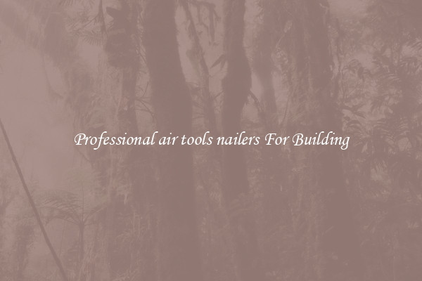 Professional air tools nailers For Building