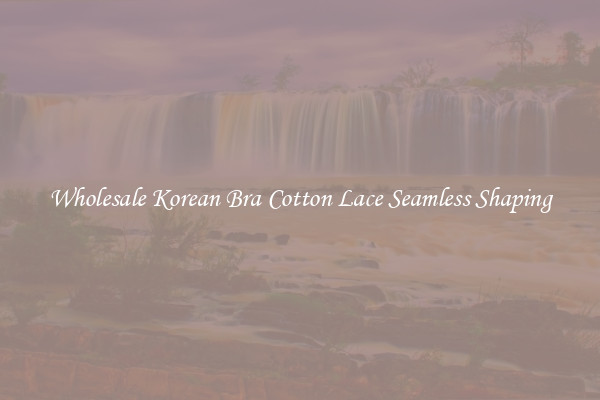 Wholesale Korean Bra Cotton Lace Seamless Shaping