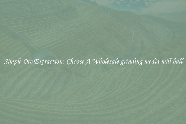 Simple Ore Extraction: Choose A Wholesale grinding media mill ball