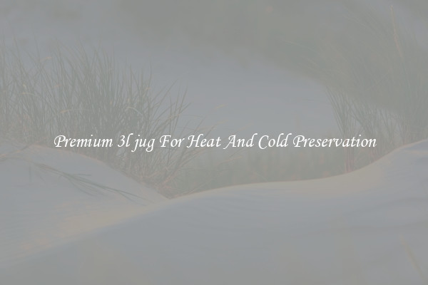 Premium 3l jug For Heat And Cold Preservation