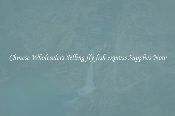 Chinese Wholesalers Selling fly fish express Supplies Now