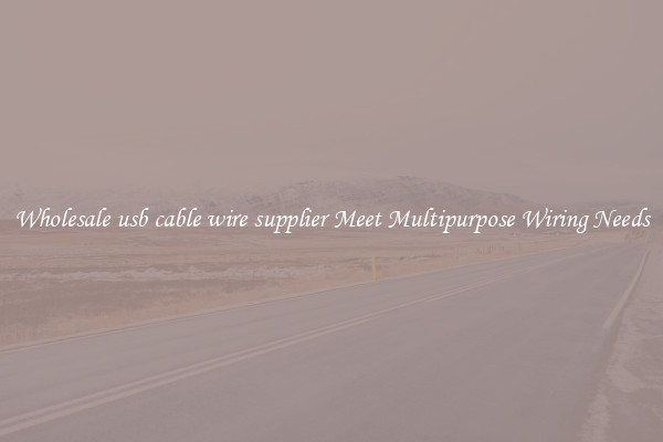 Wholesale usb cable wire supplier Meet Multipurpose Wiring Needs