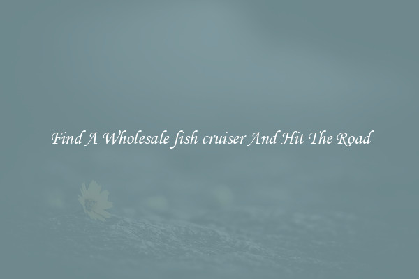 Find A Wholesale fish cruiser And Hit The Road