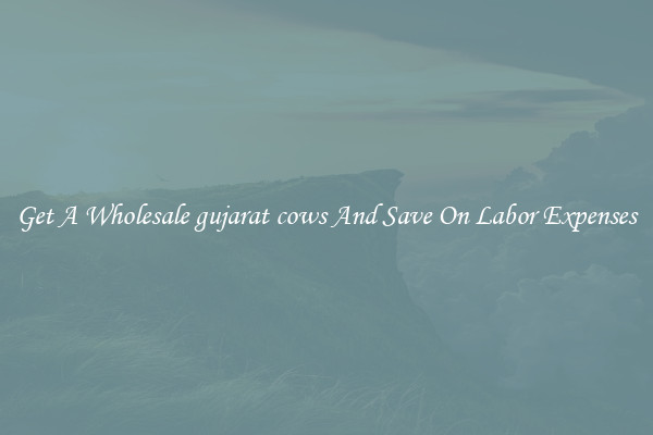 Get A Wholesale gujarat cows And Save On Labor Expenses
