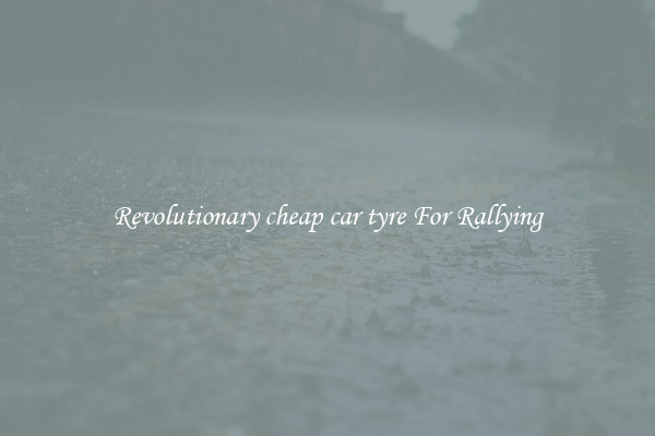 Revolutionary cheap car tyre For Rallying